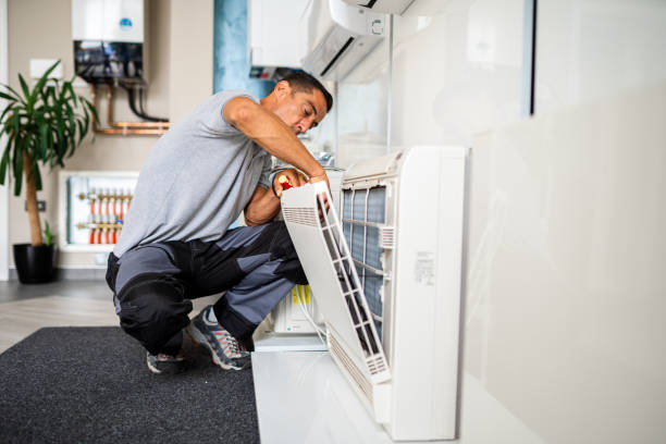 Best Air Duct Sanitizing Services  in Hoover, AL